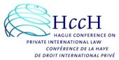 Hague Convention - Cathal Young